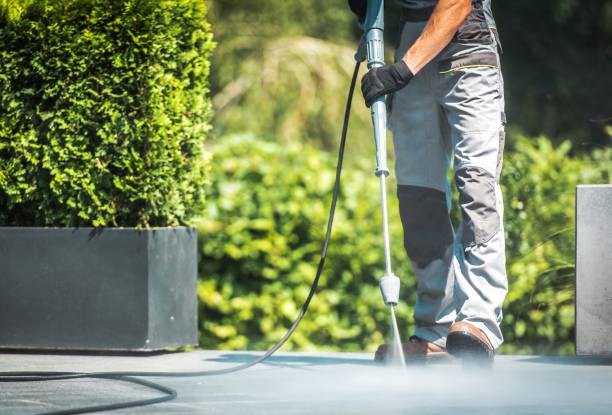 Best Dumpster Area Cleaning  in East Shoreham, NY